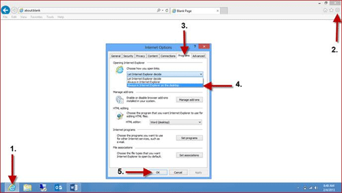 Screenshot: Windows 8 Internet Options